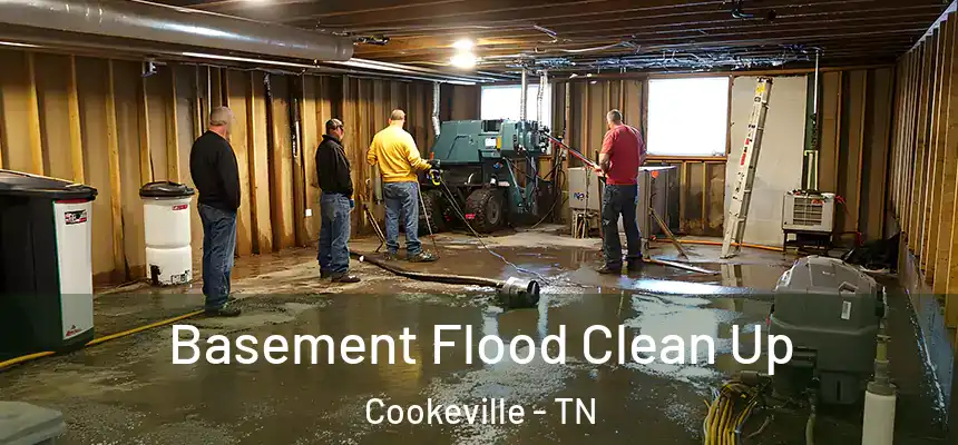  Basement Flood Clean Up Cookeville - TN