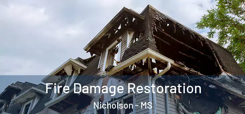  Fire Damage Restoration Nicholson - MS