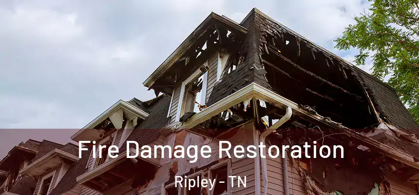  Fire Damage Restoration Ripley - TN