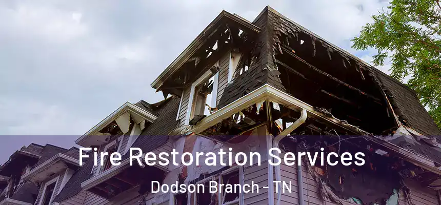  Fire Restoration Services Dodson Branch - TN
