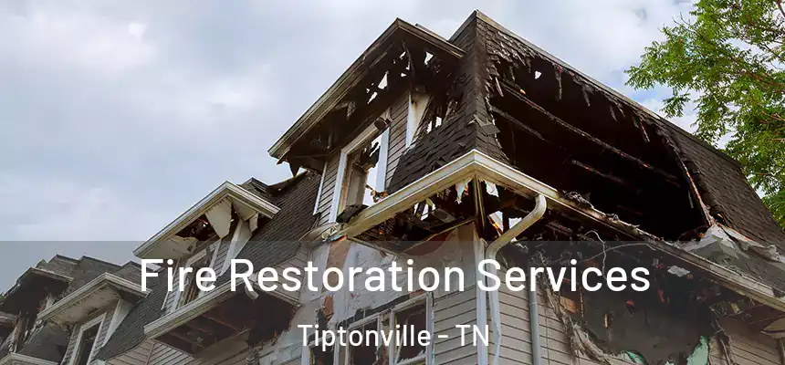  Fire Restoration Services Tiptonville - TN