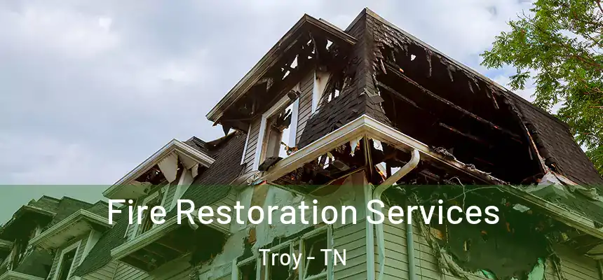  Fire Restoration Services Troy - TN