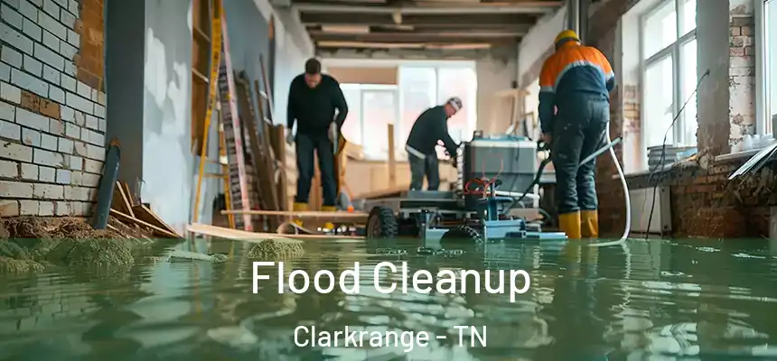  Flood Cleanup Clarkrange - TN