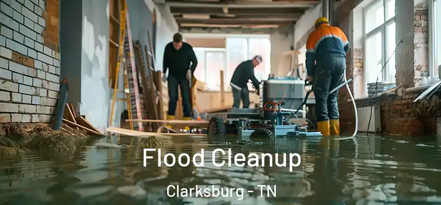 Flood Cleanup Clarksburg - TN
