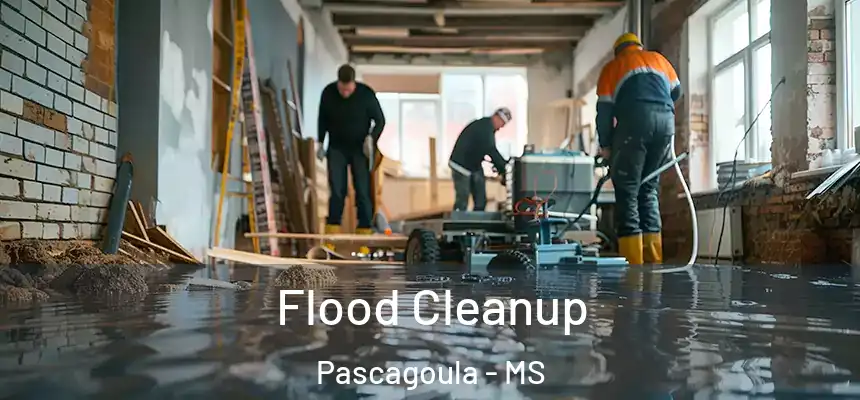  Flood Cleanup Pascagoula - MS