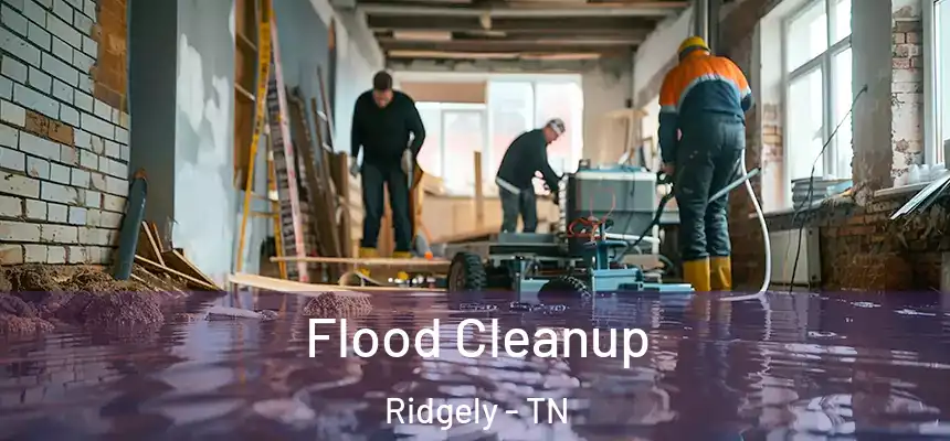  Flood Cleanup Ridgely - TN