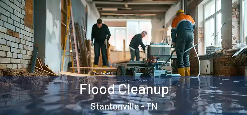  Flood Cleanup Stantonville - TN