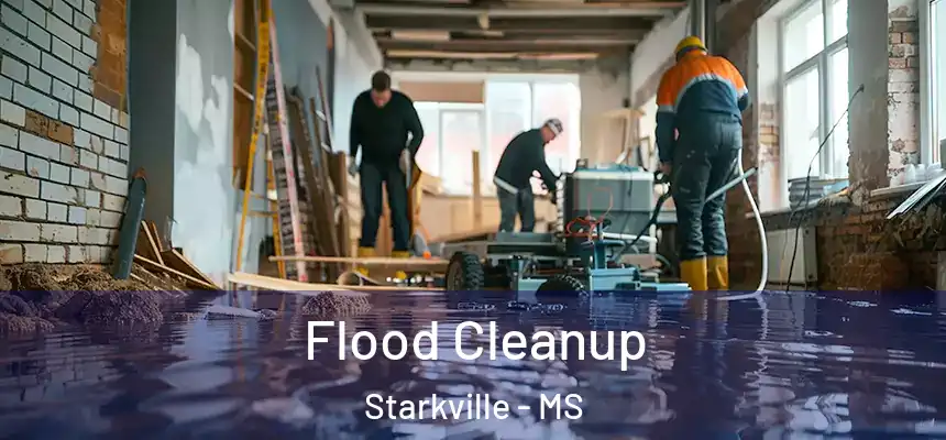  Flood Cleanup Starkville - MS
