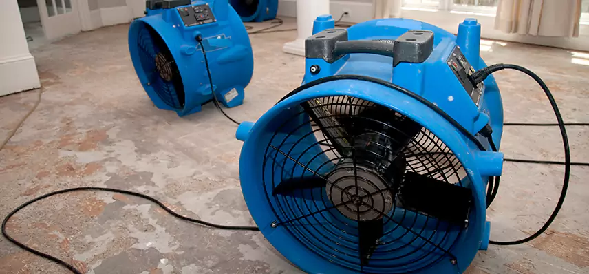 Sewage Removal Services in Jackson