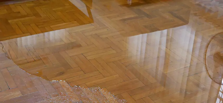 Laminate Wood Floor Water Damage Repair in Jackson