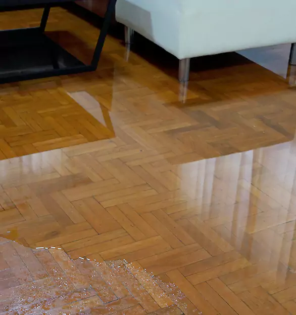 Trusted Emergency Water Restoration Company in Jackson, TN