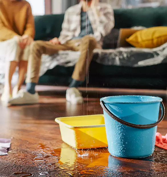 Trusted Water Remediation Company in Jackson, TN