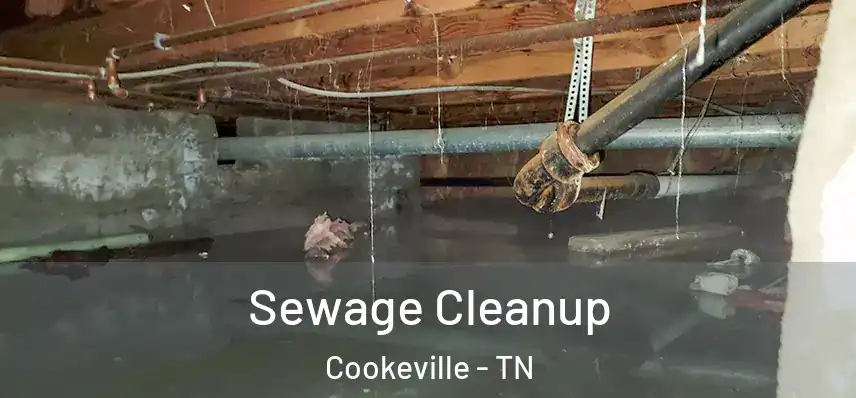  Sewage Cleanup Cookeville - TN