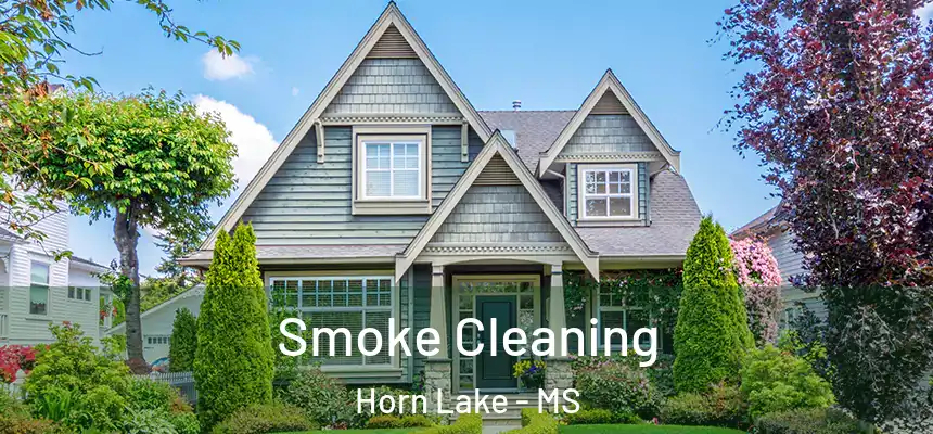  Smoke Cleaning Horn Lake - MS
