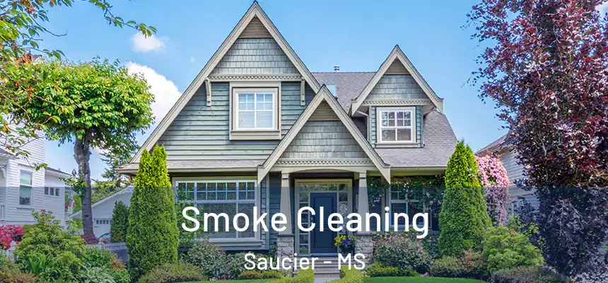  Smoke Cleaning Saucier - MS