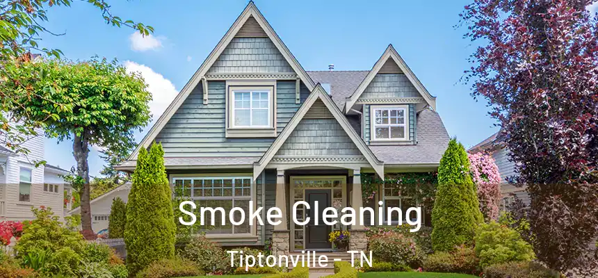  Smoke Cleaning Tiptonville - TN
